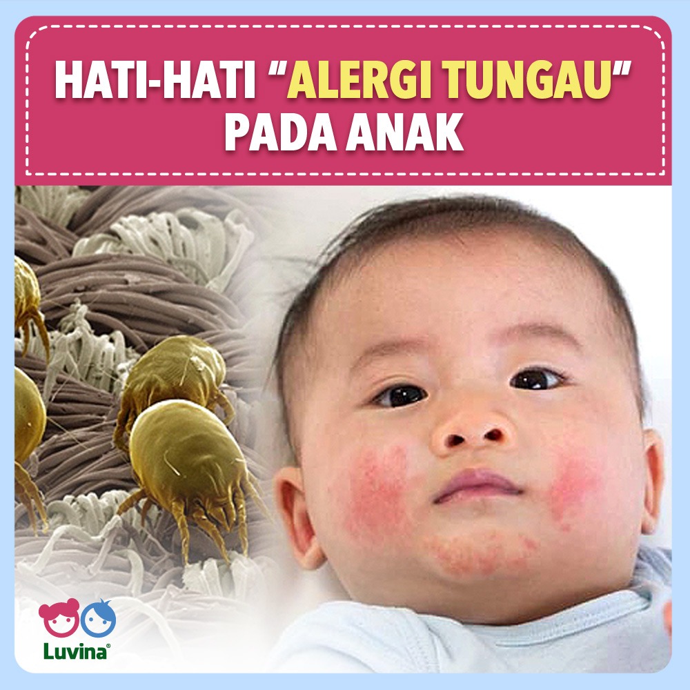 BE AWARE, DUST MITES CAN CAUSED YOUR CHILD COUGING AND SNEEZING EVERY NIGHT AND MORNING